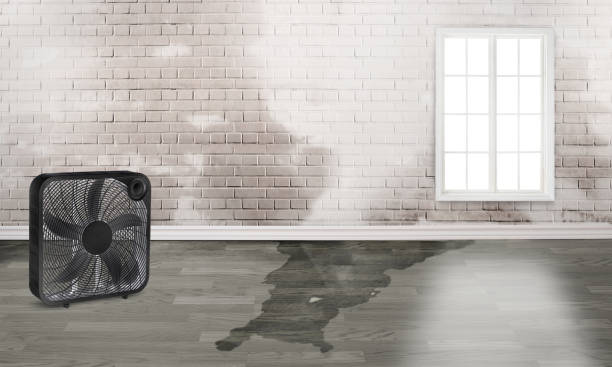Best Emergency water damage restoration  in Blackhawk, CA